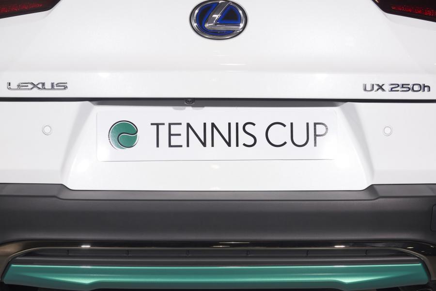 Детали экстерьера Lexus UX250h Tennis Cup 2019 года  (ES) (фото 7 из 13)